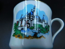 disneyland cup view